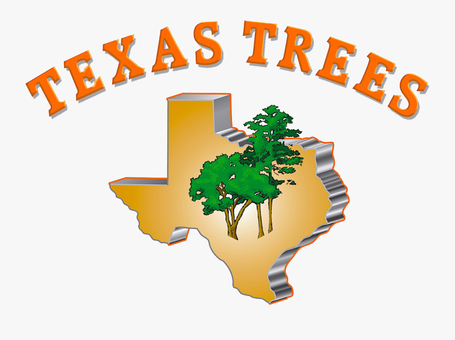 Tree Service San Antonio, Tx - Illustration, Transparent Clipart