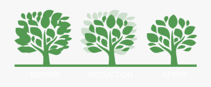 G&v Tree And Landscaping Services - Illustration, Transparent Clipart