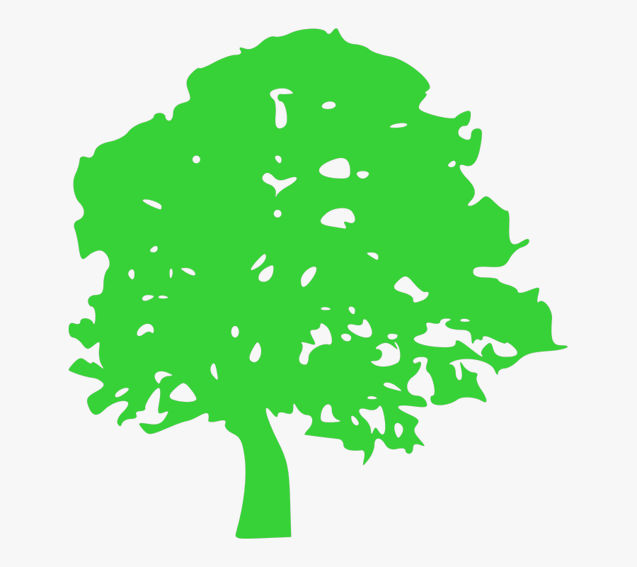 Picture - Green Tree Silhouette Png, Transparent Clipart