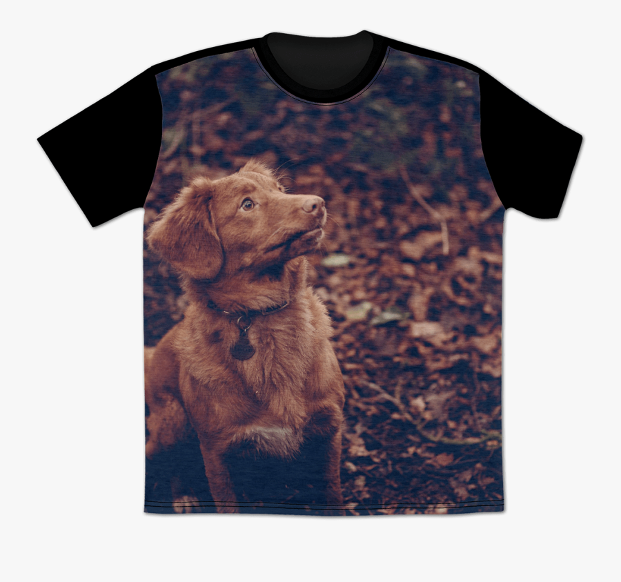 Recommended Retail Price - Nova Scotia Duck Tolling Retriever, Transparent Clipart