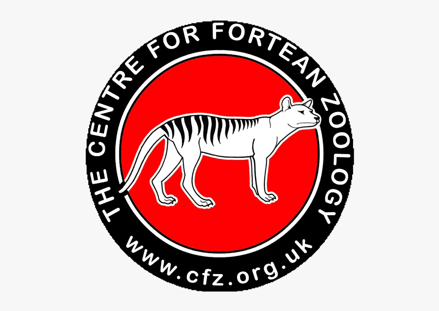 Cfz Usa Centre - Small Business Revolution Tv Show, Transparent Clipart