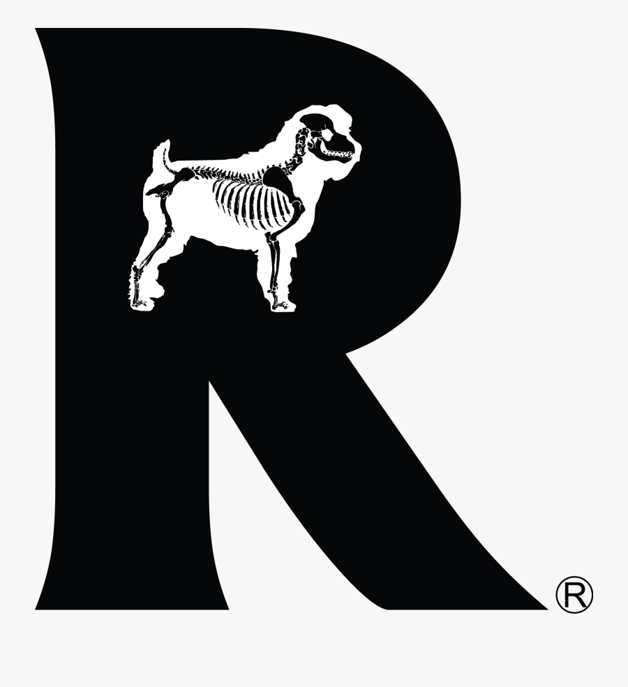 Dog, Transparent Clipart