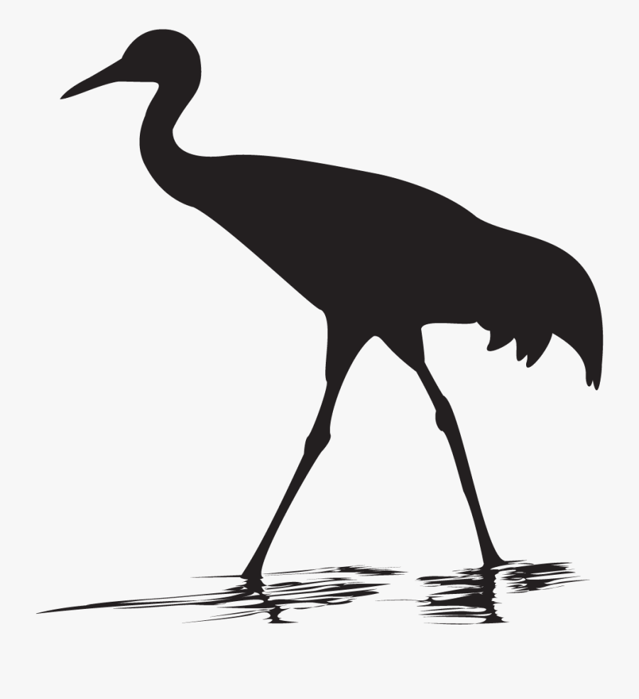 Sandhill Crane Png Coloring Page, Printable Sandhill - Sandhill Crane Silhouette, Transparent Clipart