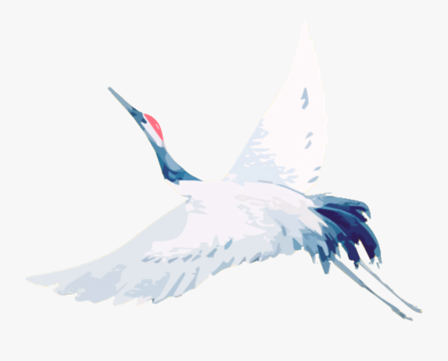 Transparent Crane Bird Clipart - Ciconiiformes, Transparent Clipart