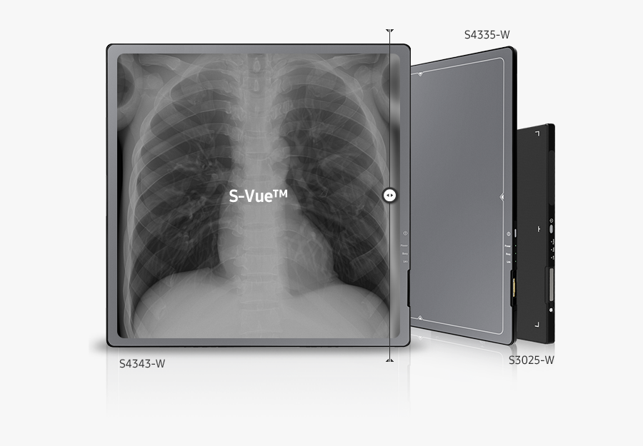 X-ray, Transparent Clipart