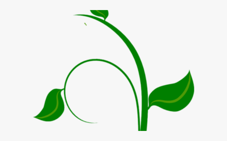 Flower Vine Clip Art, Transparent Clipart