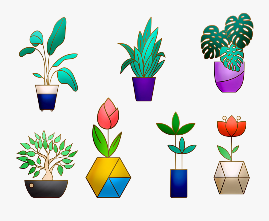 House Plants, Cactus, Flowerpot, Plant, Green, House - Houseplant, Transparent Clipart