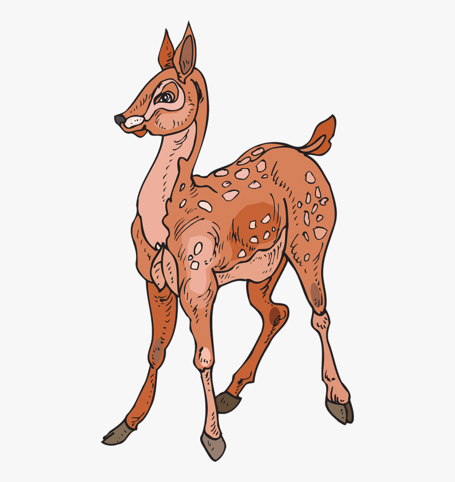 Cartoon Deer Hunting - Лань Пнг, Transparent Clipart
