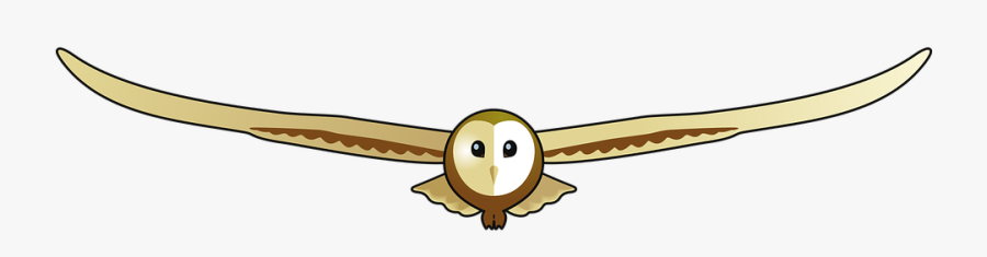 Barn Owl, Children, Wildlife - Cartoon, Transparent Clipart