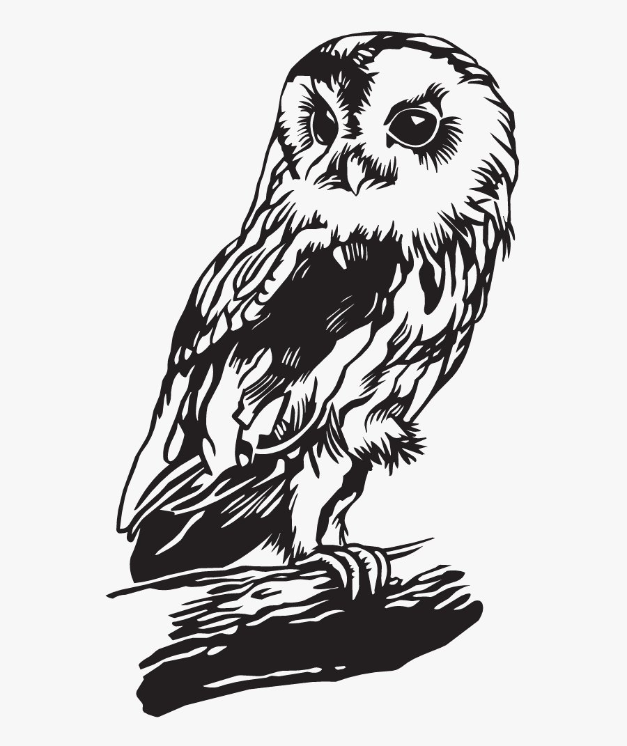 Букля из гарри поттера рисунок для срисовки