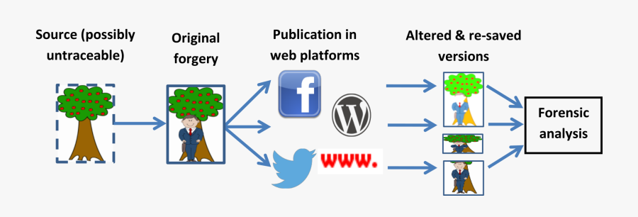 Forgery Localization Via Fine Grained Analysis, Transparent Clipart