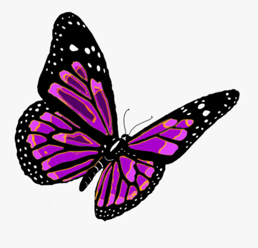 Png Format Butterfly Png, Transparent Clipart