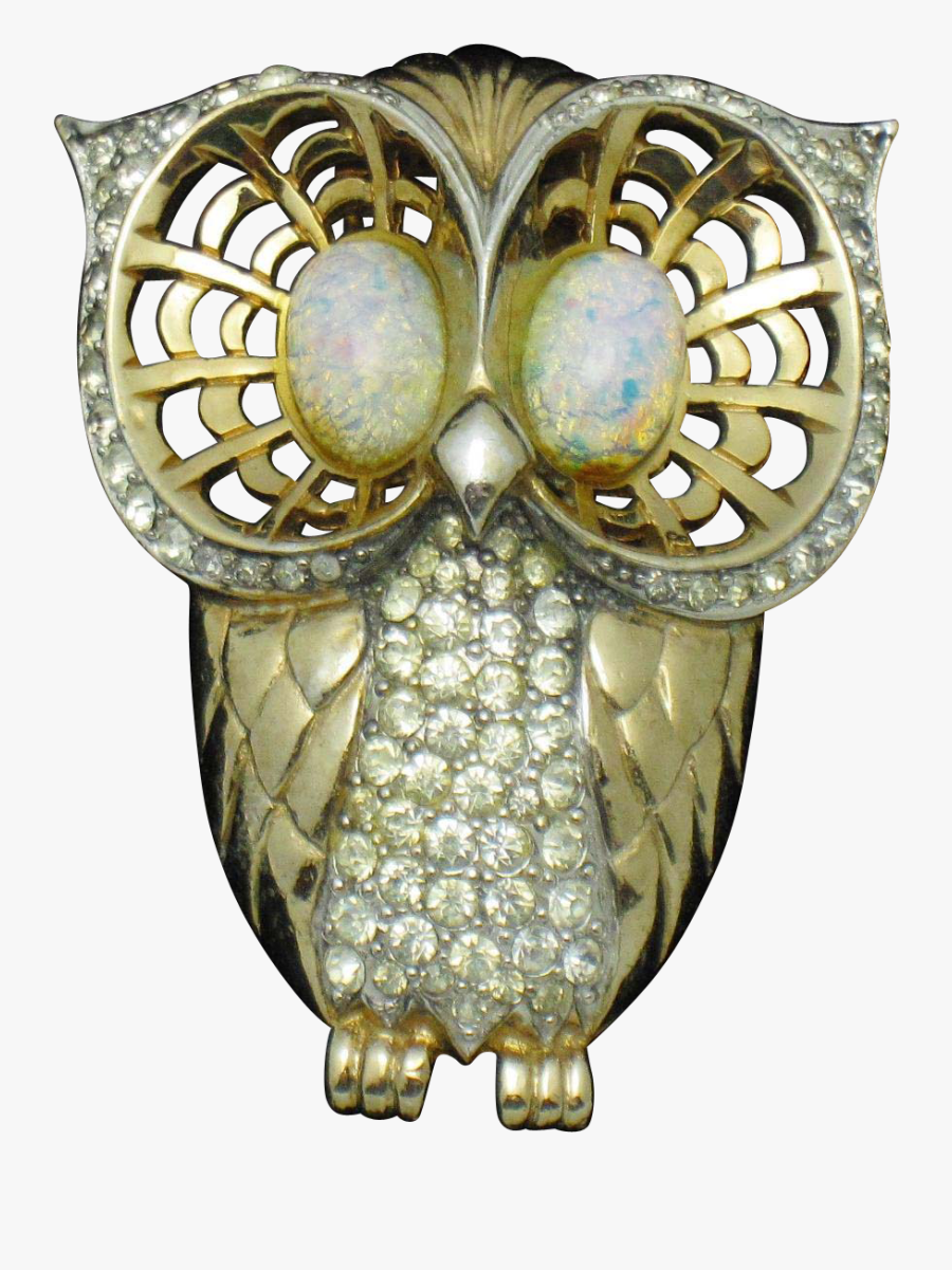 Owl, Transparent Clipart