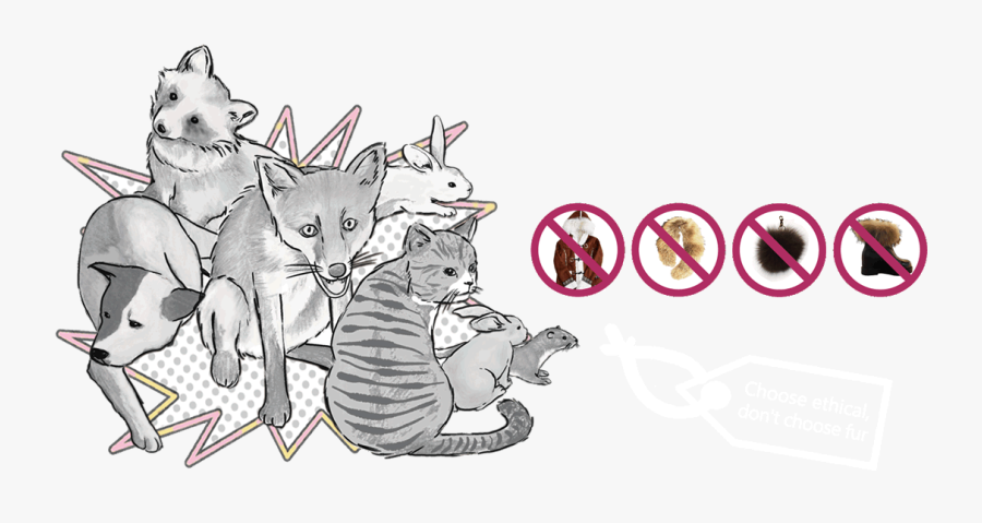 Choose Ethical, Don"t Choose Fur - Dont Wear Animals Skin Or Fur, Transparent Clipart
