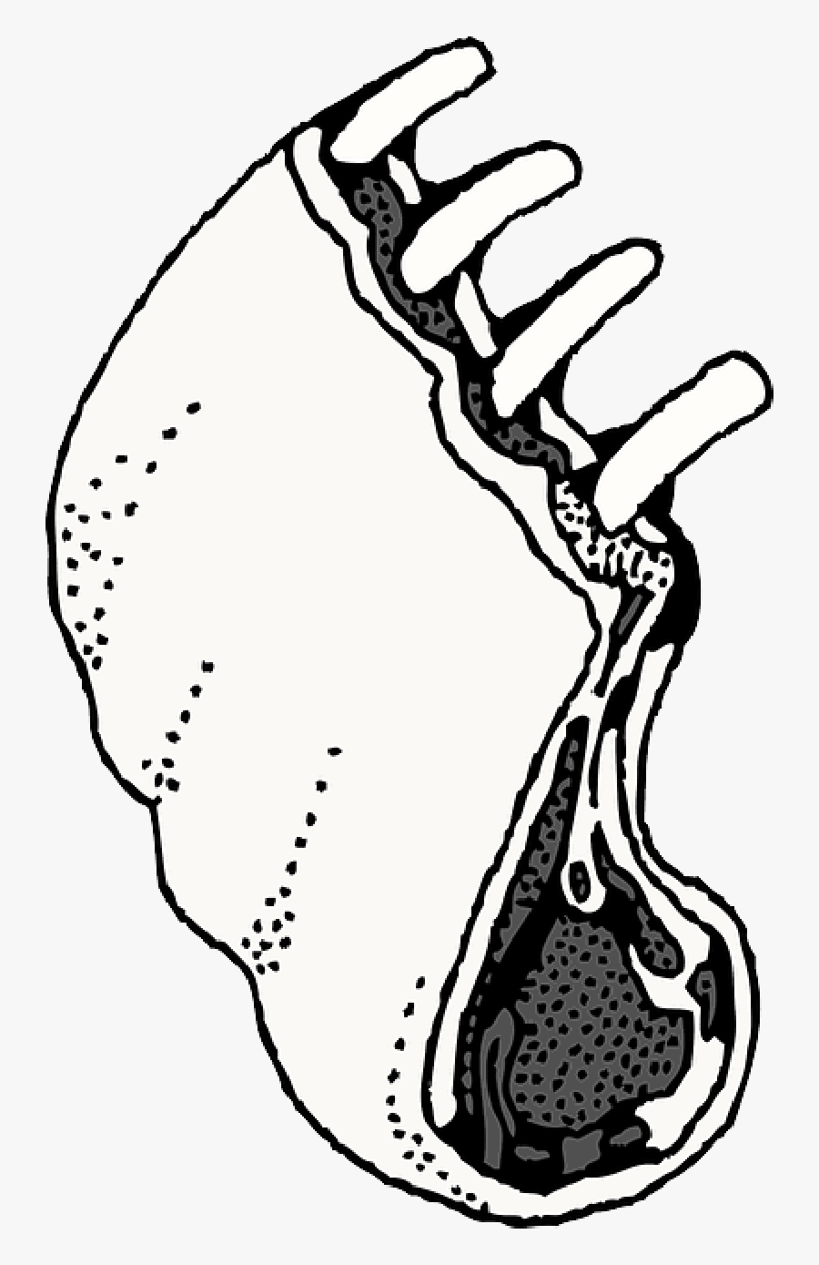 Rack Of Lamb Clipart, Transparent Clipart