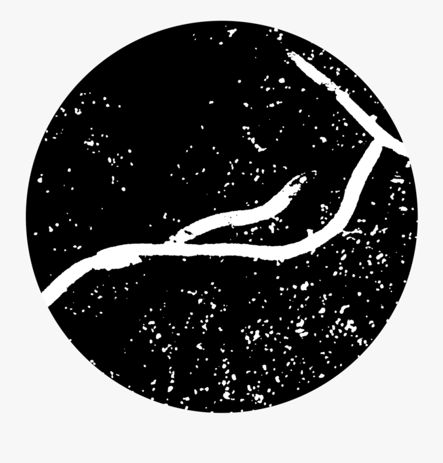 Image Of White Worm - Circle, Transparent Clipart