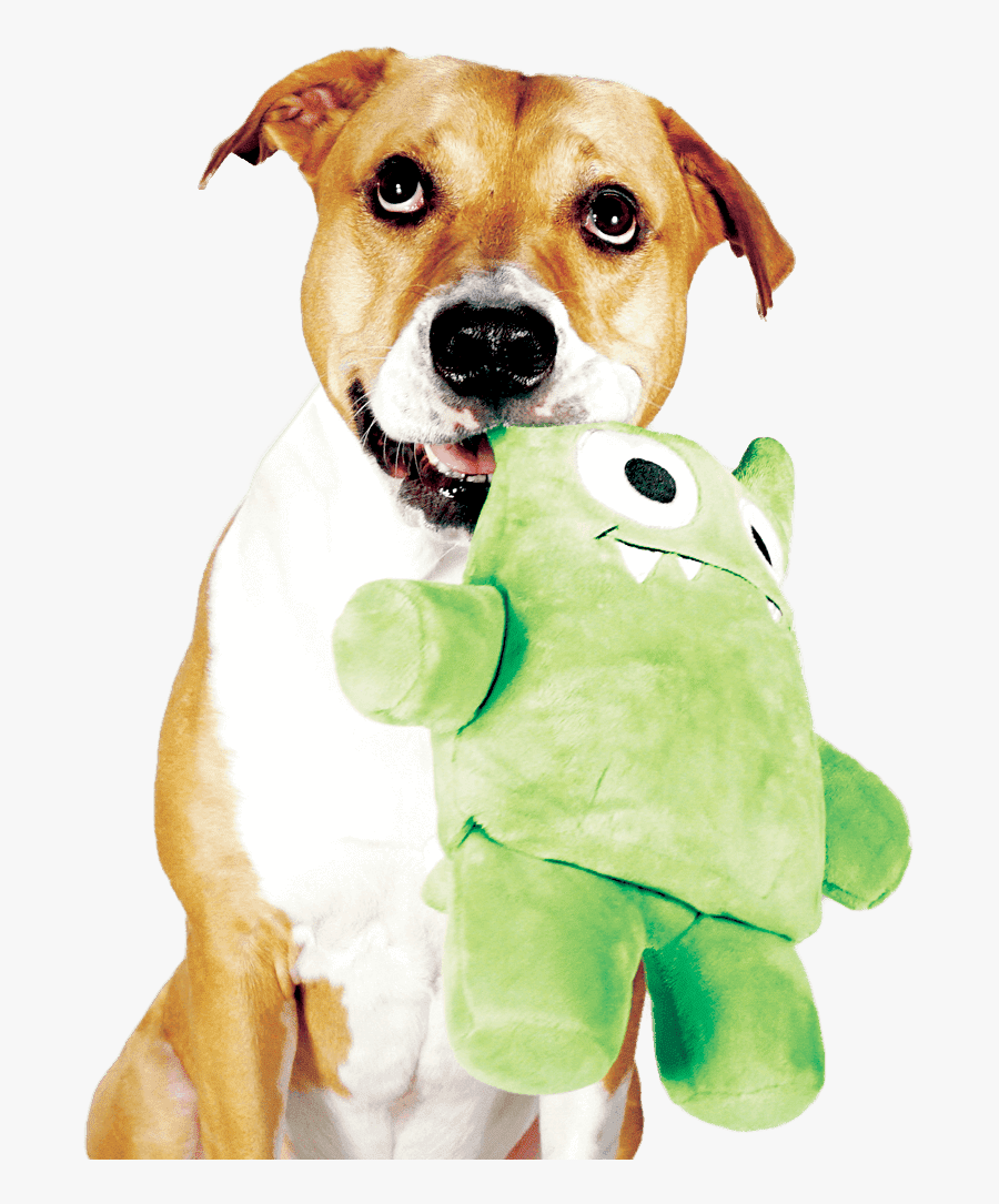Green Dog Toys, Transparent Clipart