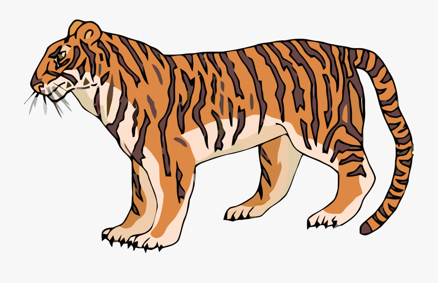 Tiger Cartoon Side View , Free Transparent Clipart - ClipartKey