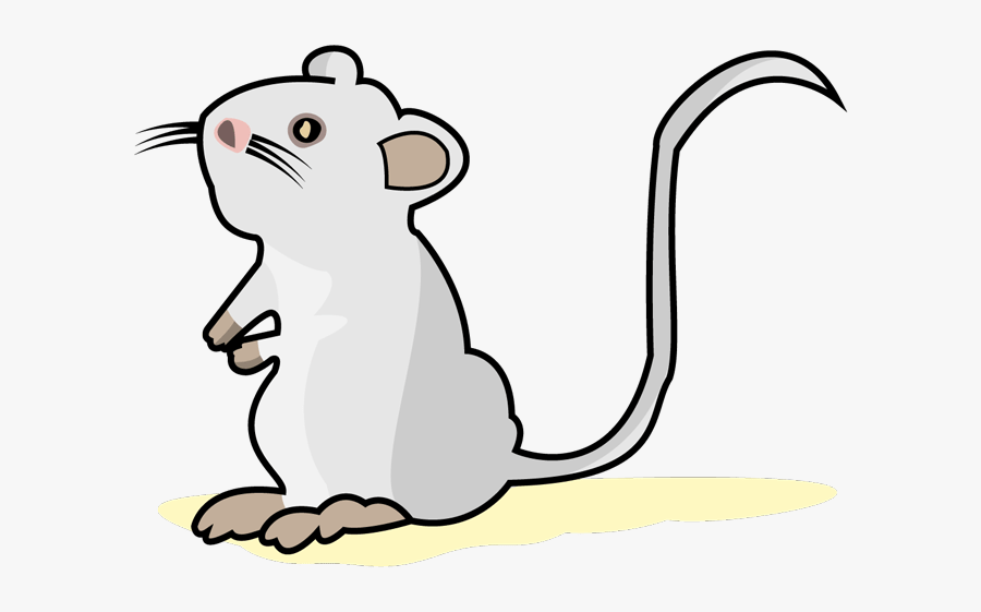 White Mouse - Cartoon, Transparent Clipart