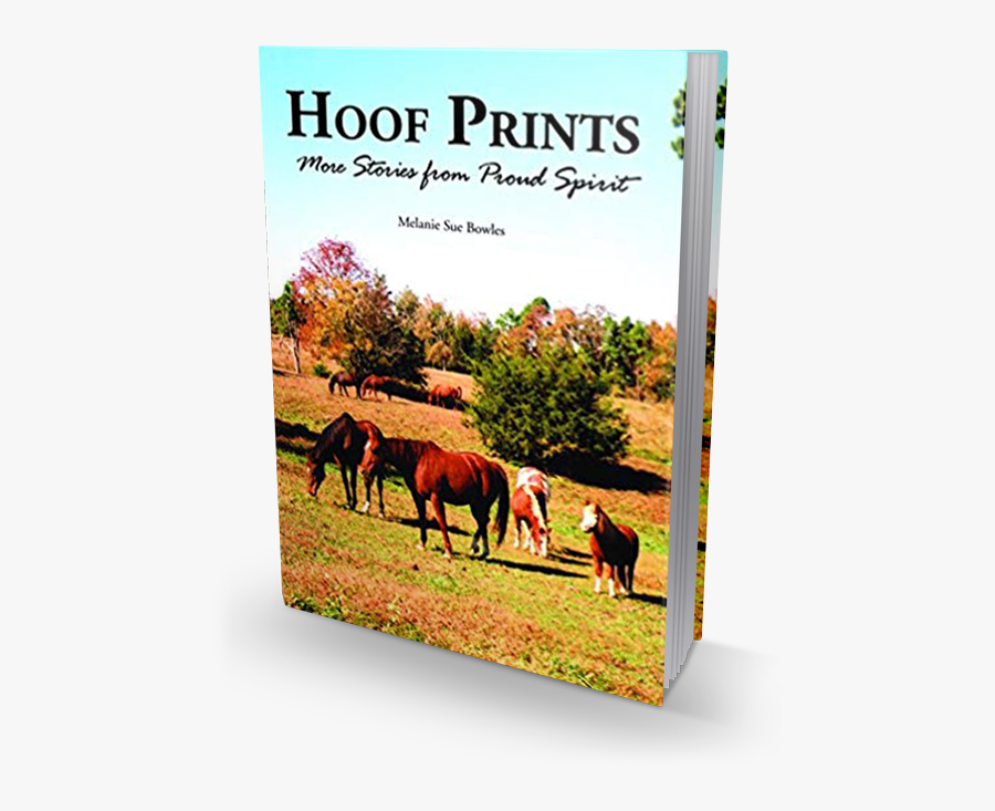 Transparent Horse Hoof Png - Hoof Prints: More Stories From Proud Spirit, Transparent Clipart