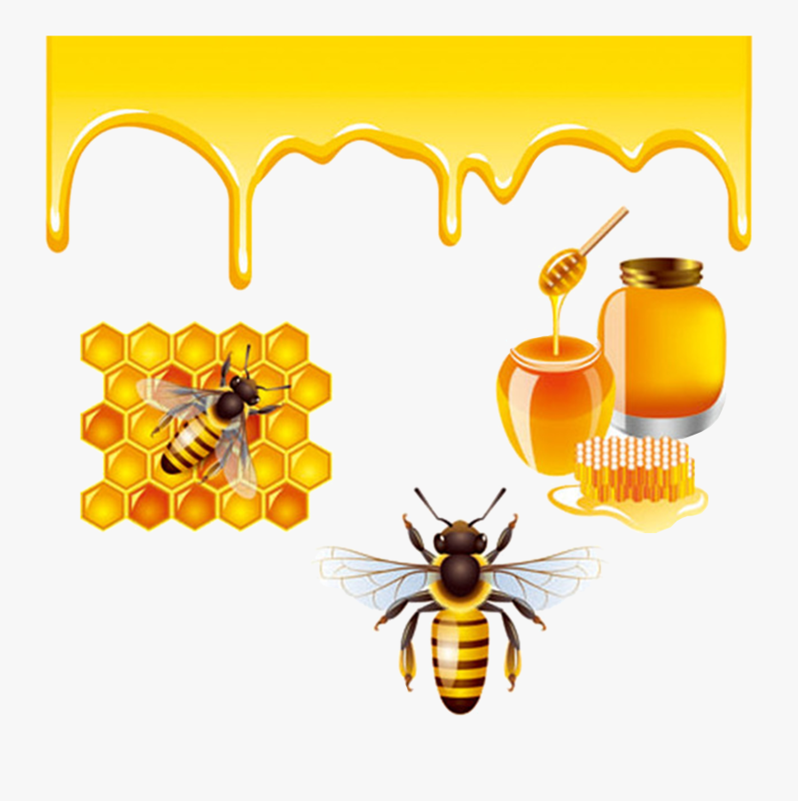 Transparent Honeybee Png - Bees And Honey Png, Transparent Clipart