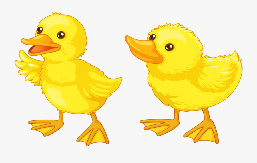 Transparent Quack Clipart - Duck, Transparent Clipart