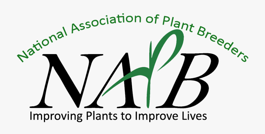 Napb Logo, Transparent Clipart
