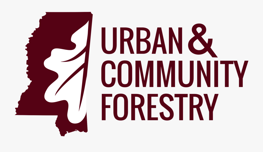 Mr Clipart Ms Foundation - Graphic Design, Transparent Clipart