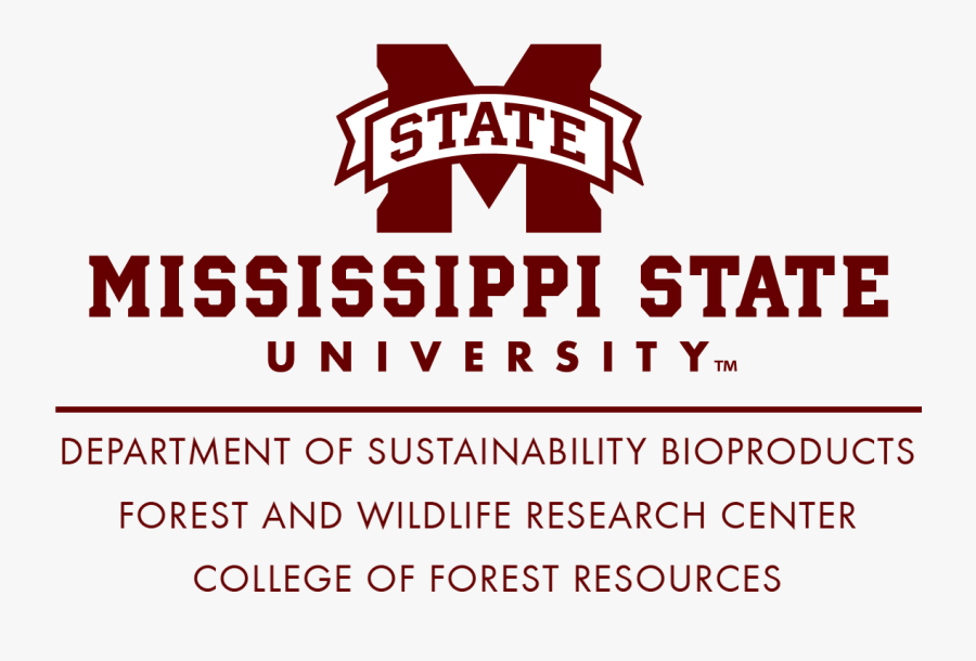 Graphic Design, Transparent Clipart