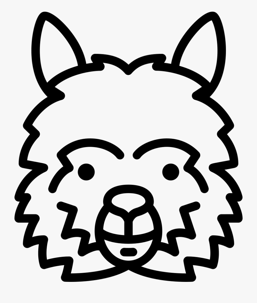 Lama Head - Fondos De Pantalla Mr Wonderful Para El Ordenador Hd, Transparent Clipart