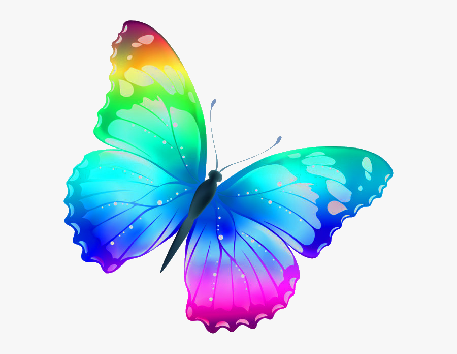 Transparent Our Lady Of Fatima Clipart - Clip Art Butterfly, Transparent Clipart