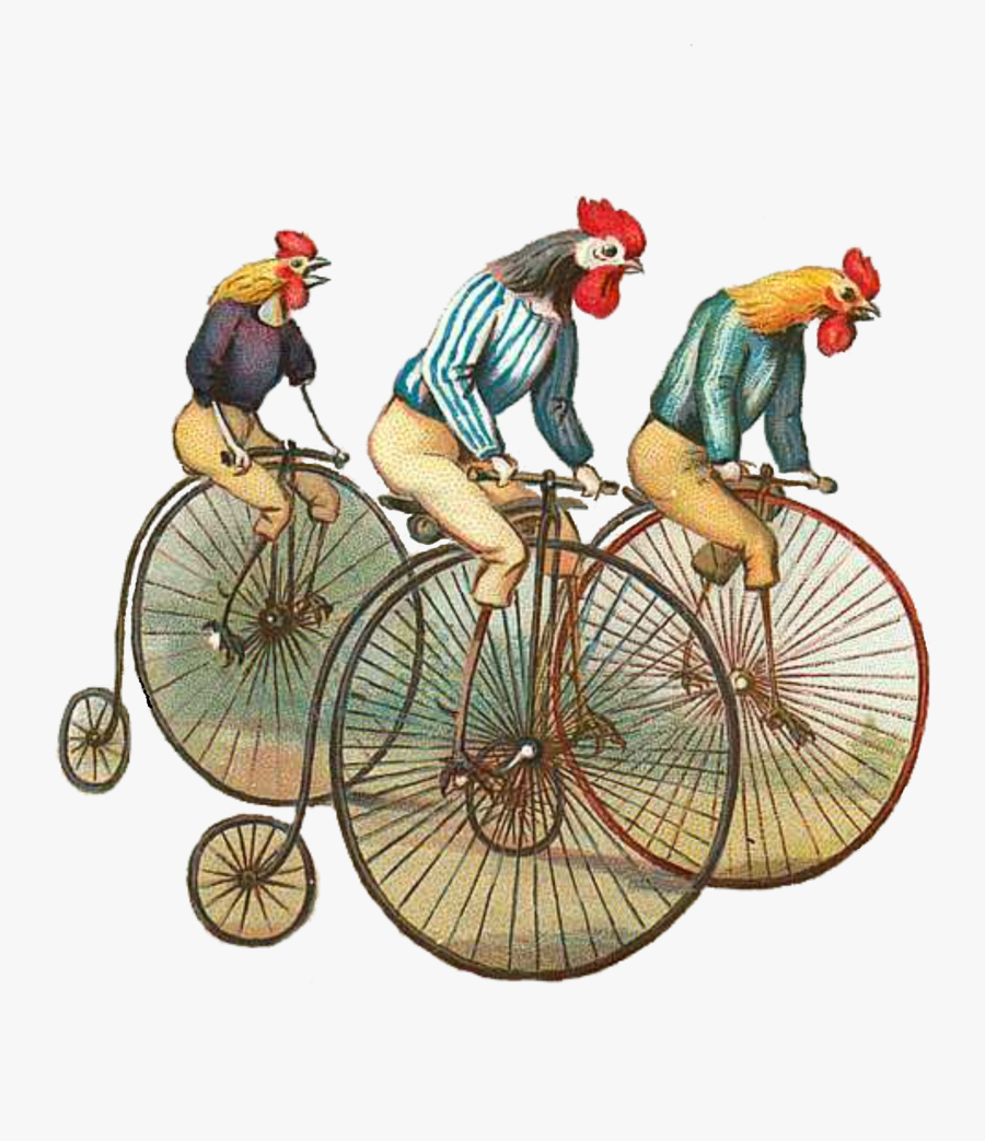 Chicken Riding A Unicycle, Transparent Clipart