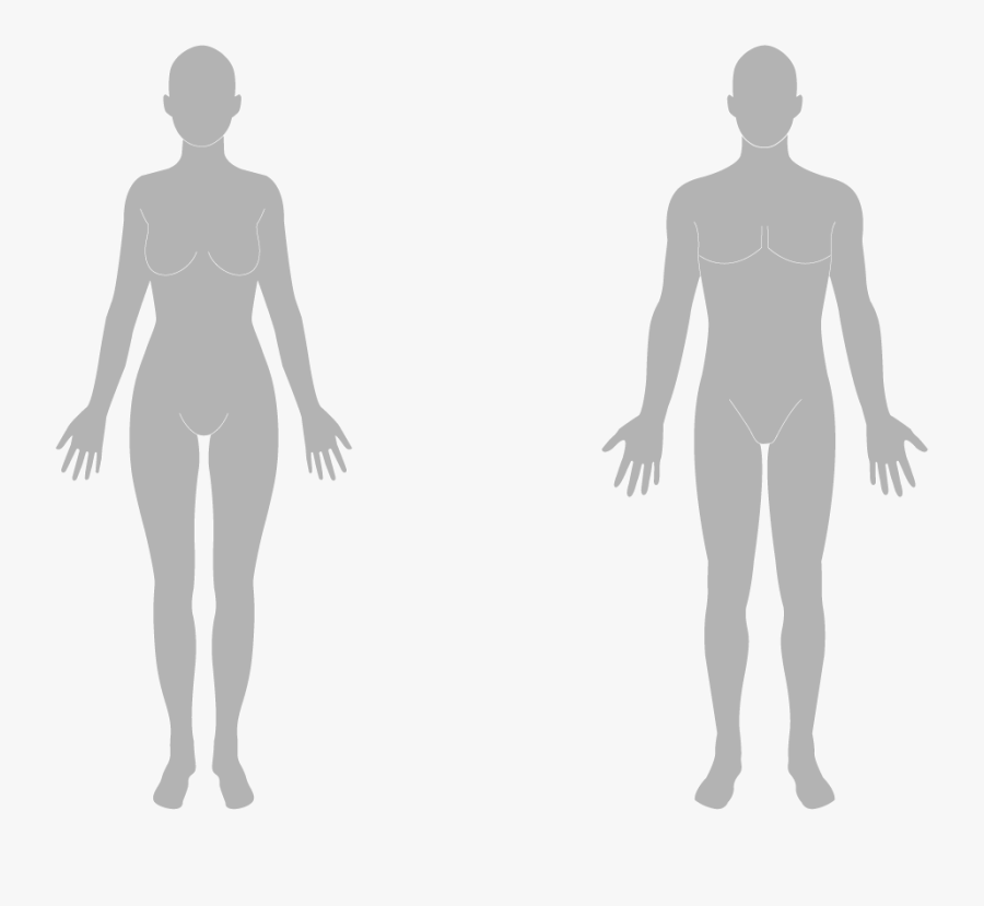 Transparent Figure Png - Transparent Human Body Silhouette, Transparent Clipart