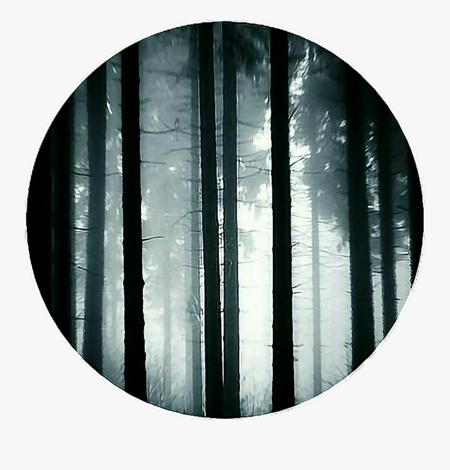 Transparent Forest Trees Clipart - Dark Forest Icon , Free Transparent ...
