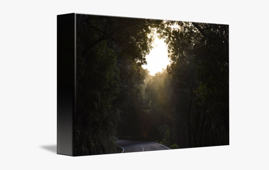 Clip Art By Marek Stepan Pinterest - Sun, Transparent Clipart