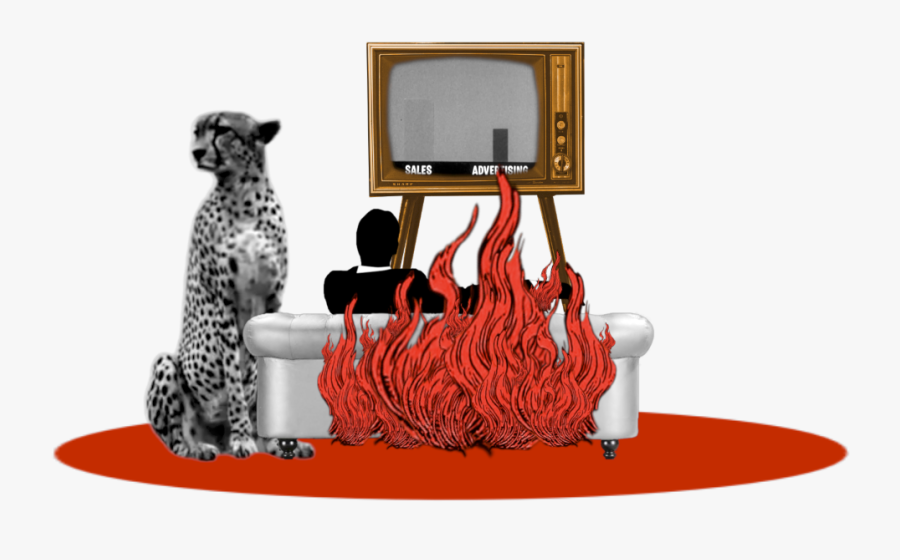 This Is Not About Reaching Your Audience - Cheetah, Transparent Clipart