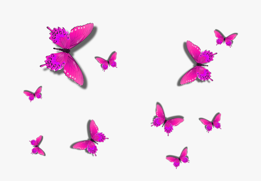 Butterfly, Transparent Clipart