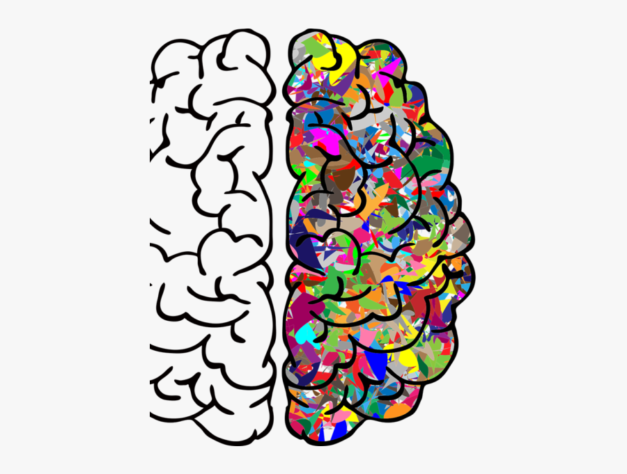 Left Brain Right Brain Transparent, Transparent Clipart