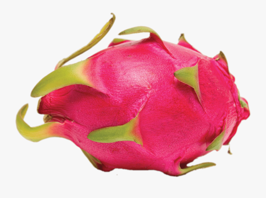 Whole Dragon Fruit - Dragon Fruit, Transparent Clipart