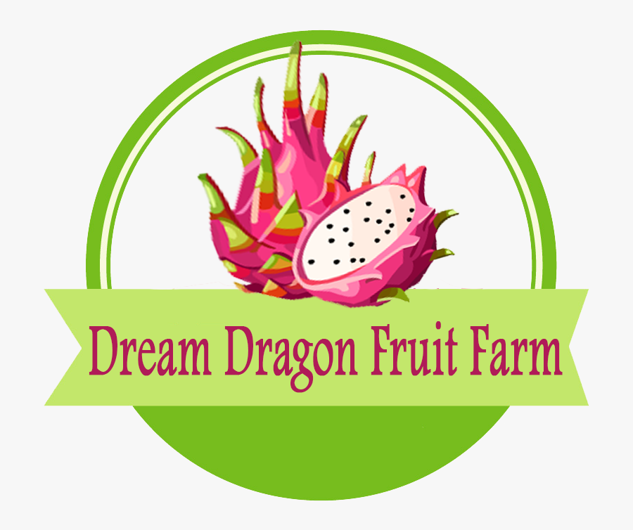 Go Web Techno - Dragon Fruit Logo Png, Transparent Clipart