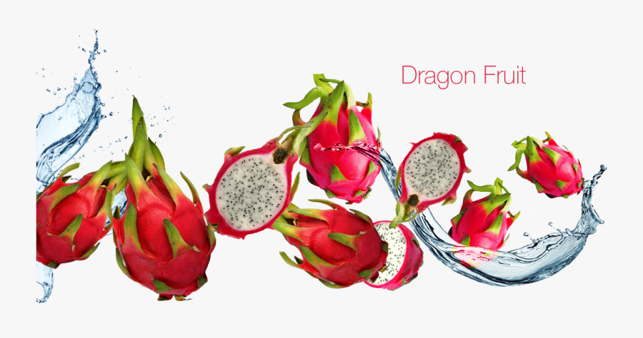 Transparent Dragon Fruit Png - Dragon Fruit Price In 1950, Transparent Clipart