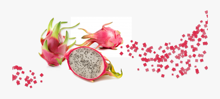 Clip Art Preparing Dragon Fruit - Dragon Fruit Background Png, Transparent Clipart