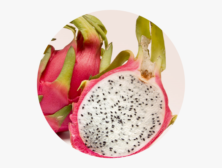 Transparent Dragon Fruit Png - Dragon Fruit, Transparent Clipart