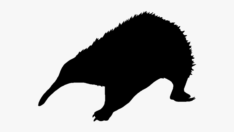 Silhouette Flying Squirrel Animal - Punxsutawney Phil, Transparent Clipart