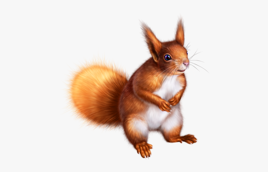 Animaux De Foret En Png, Transparent Clipart