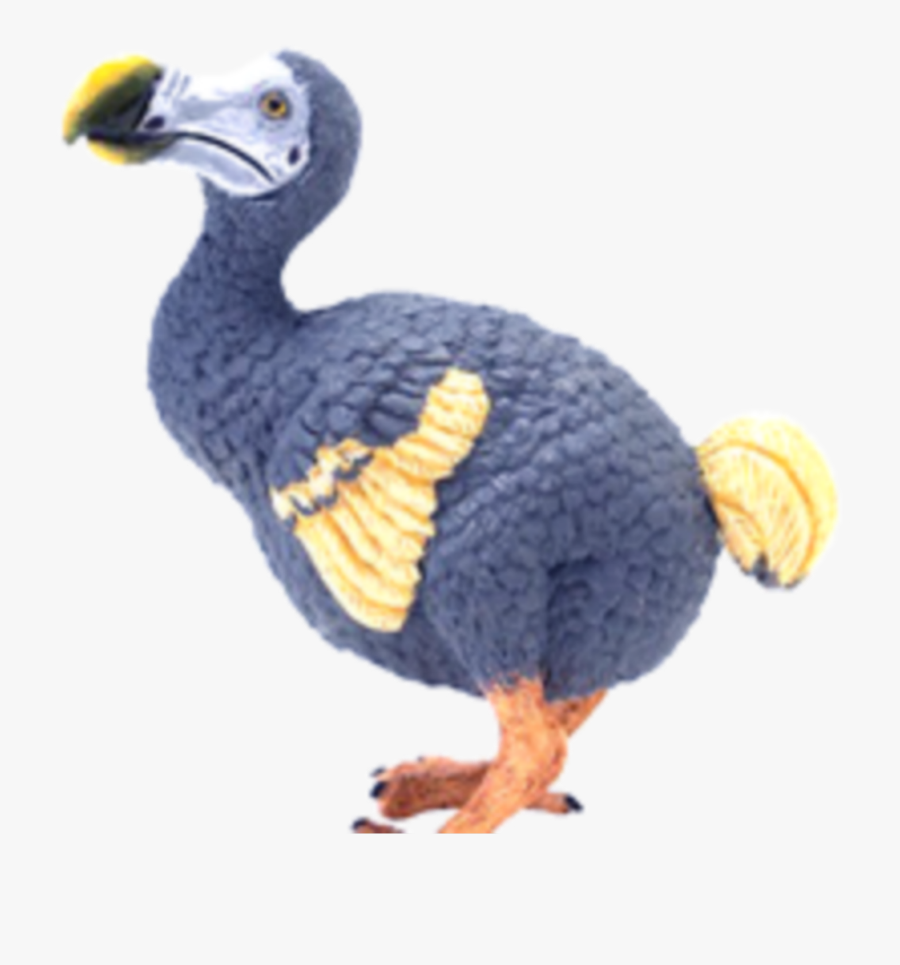 Dodo Bird Png - - Dodo Bird Transparent Background, Transparent Clipart