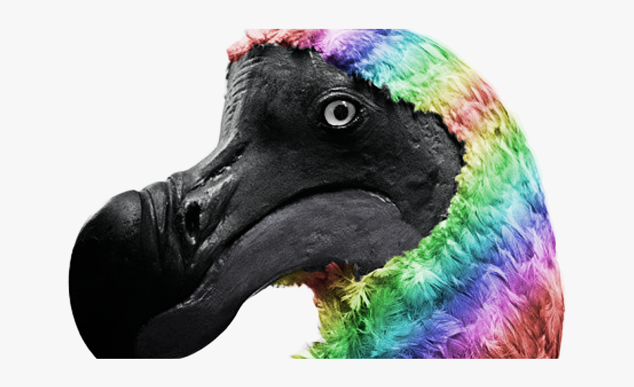 Support Gay Dodo Rights - Gay Dodo Bird, Transparent Clipart