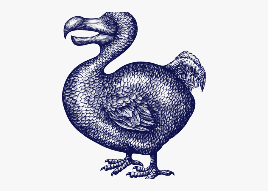 Dodobackground-01, Transparent Clipart