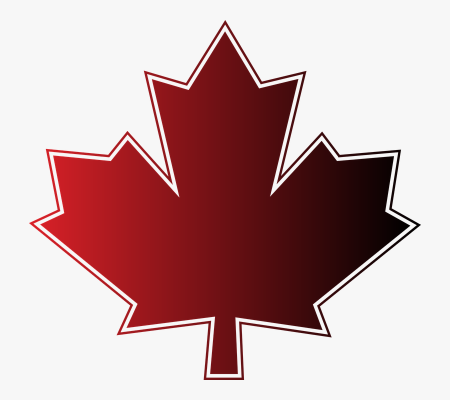 Maple Leaf Maple Canada Canada Day Canada Leaf - Kanada Ahorn, Transparent Clipart