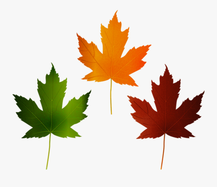 Free Png Download Autumn Leaves Set Clipart Png Photo - Flag Happy Canada Day, Transparent Clipart